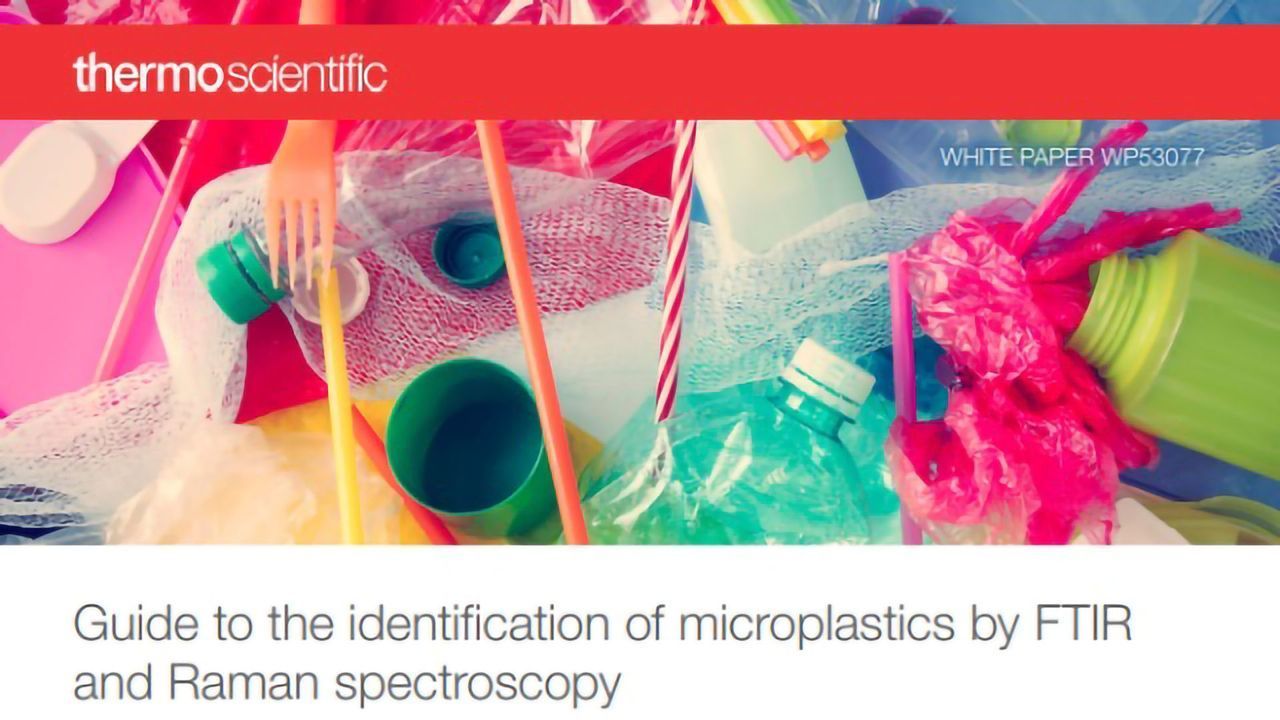 Identification of Microplastics by FTIR and Raman Spectroscopy