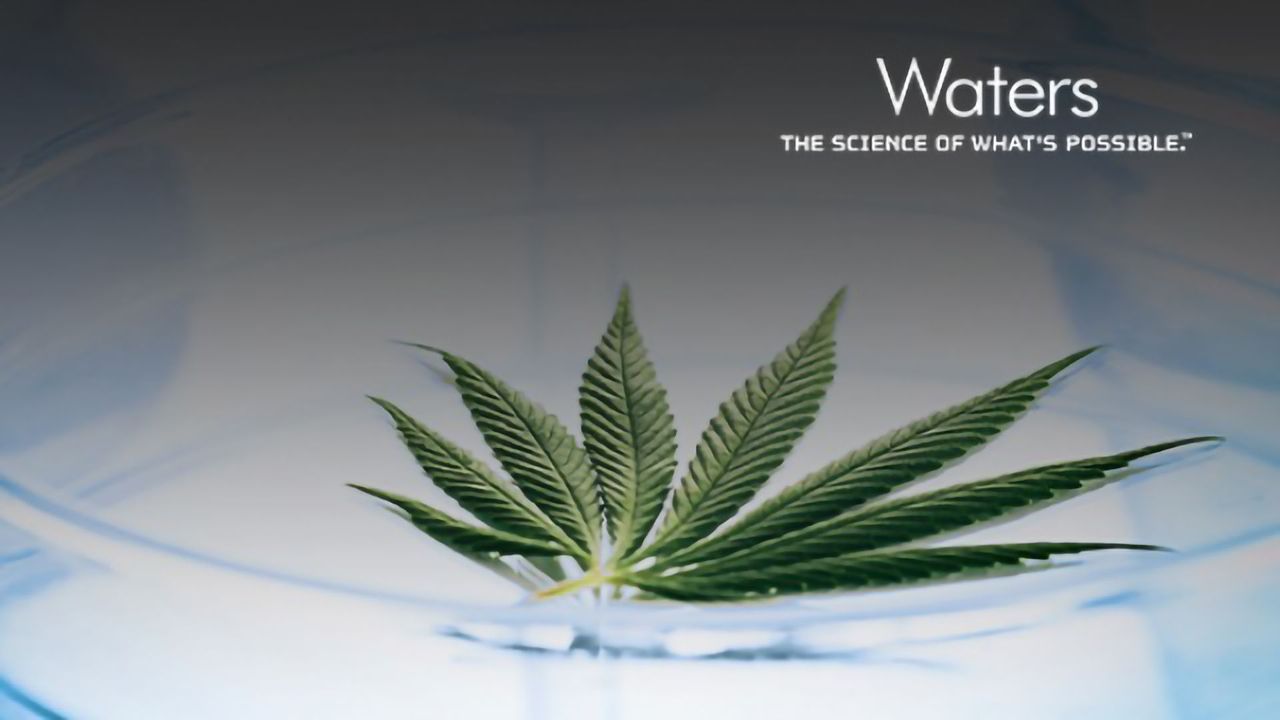 Essential Analytical Tools for a Premium Cannabis Extraction Facility