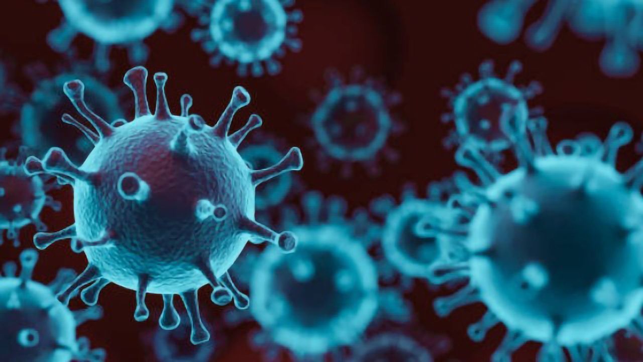 CRISPR Applications in Infectious Disease Research
