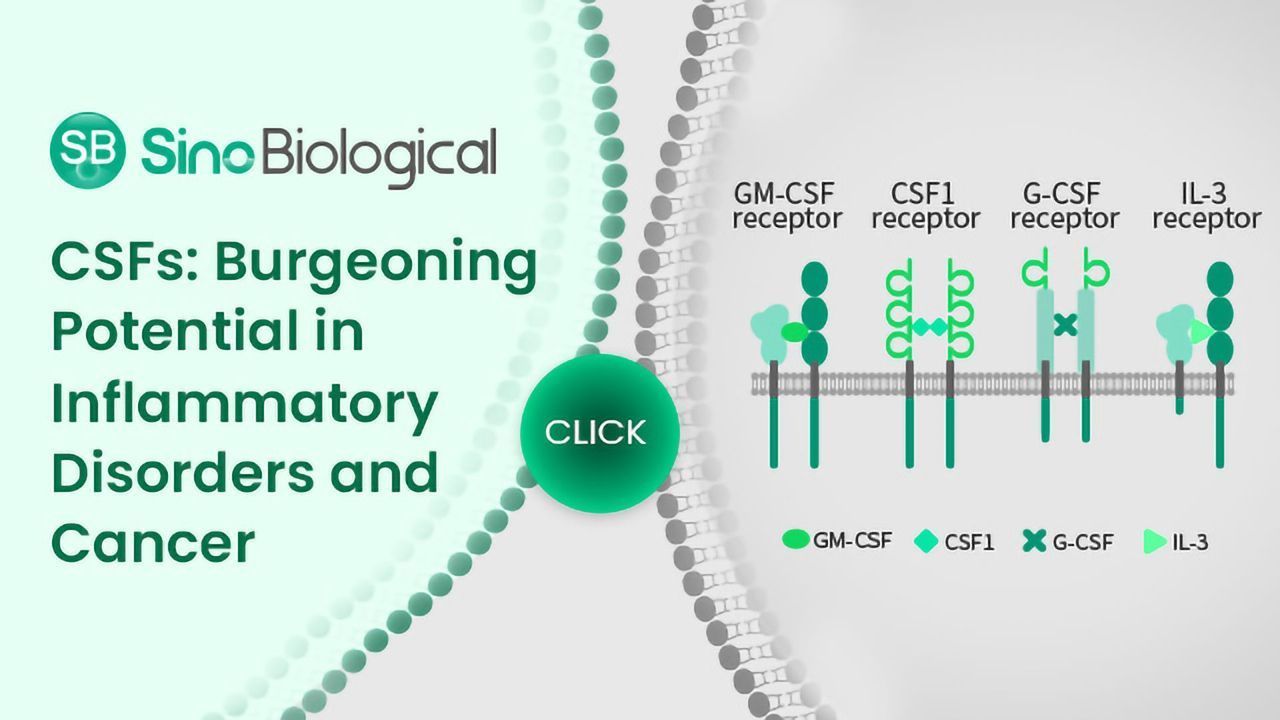 CSFs: Burgeoning Potential in Inflammatory Disorders and Cancer
