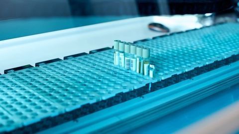 Using Liquid Biopsies To Track Bladder and Nerve Tumor Growth