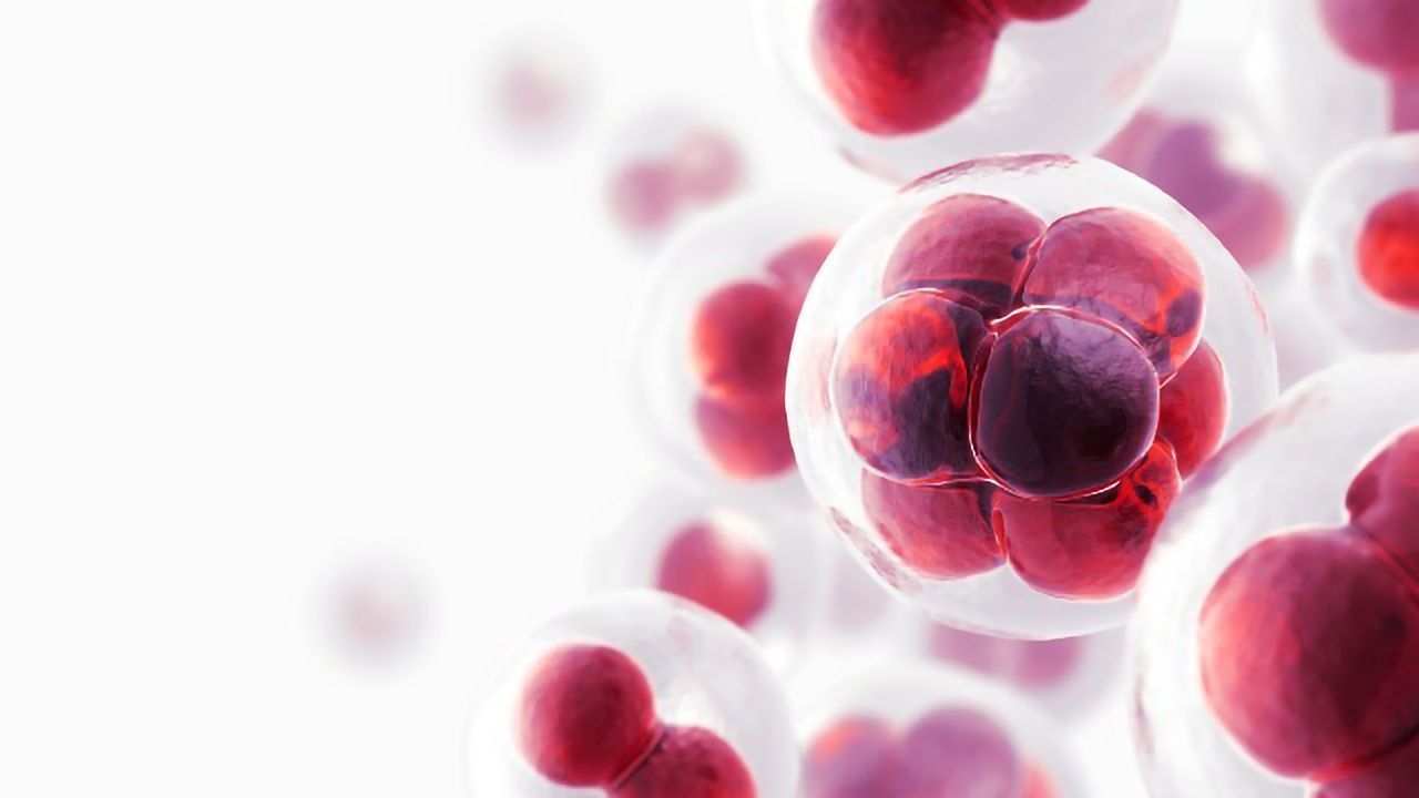 Making Single-Cell Proteomics Mainstream: Perspectives from Key Opinion Leaders