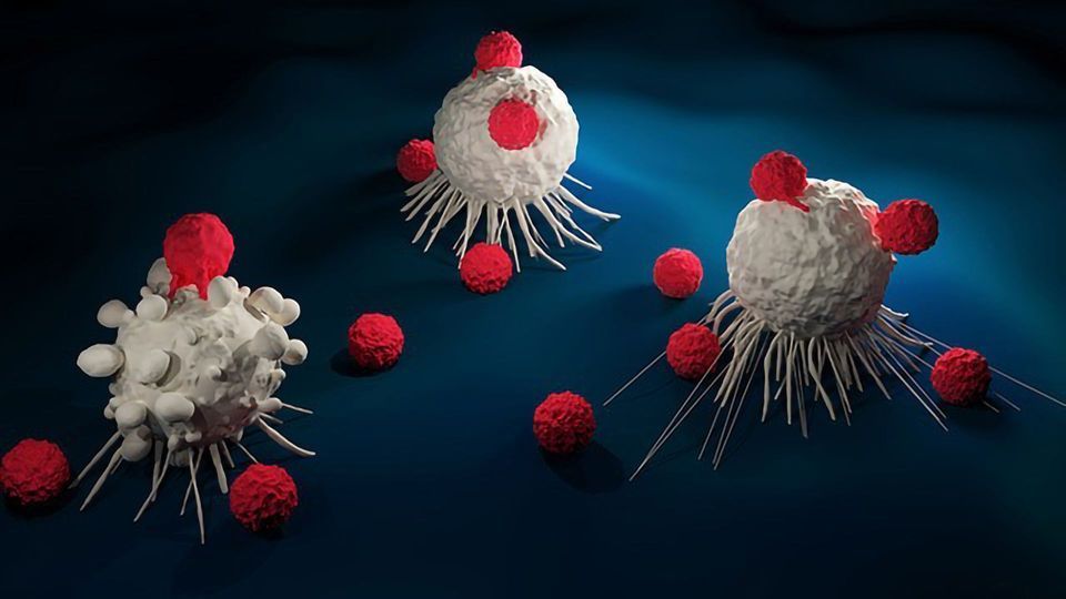 CAR T Cells Engineered To Deliver RNA To Enhance Immunotherapy Response content piece image