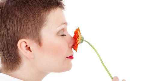 Prototype Electronic Nose Developed