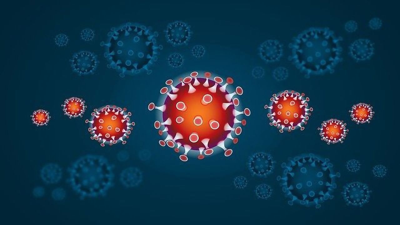 Full Picture of SARS-CoV-2 Immune Response Shown by T-Cell Test