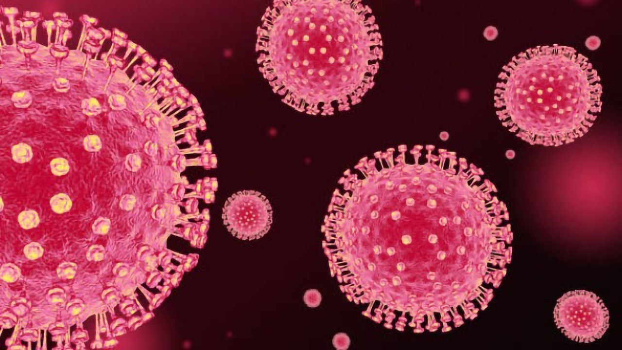Advanced Enzymes To Facilitate SARS-CoV-2 Research