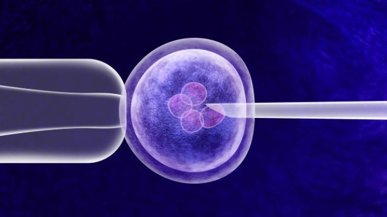 Getting a Gene Therapy Product to Market: Pitfalls and How to Prevent Them