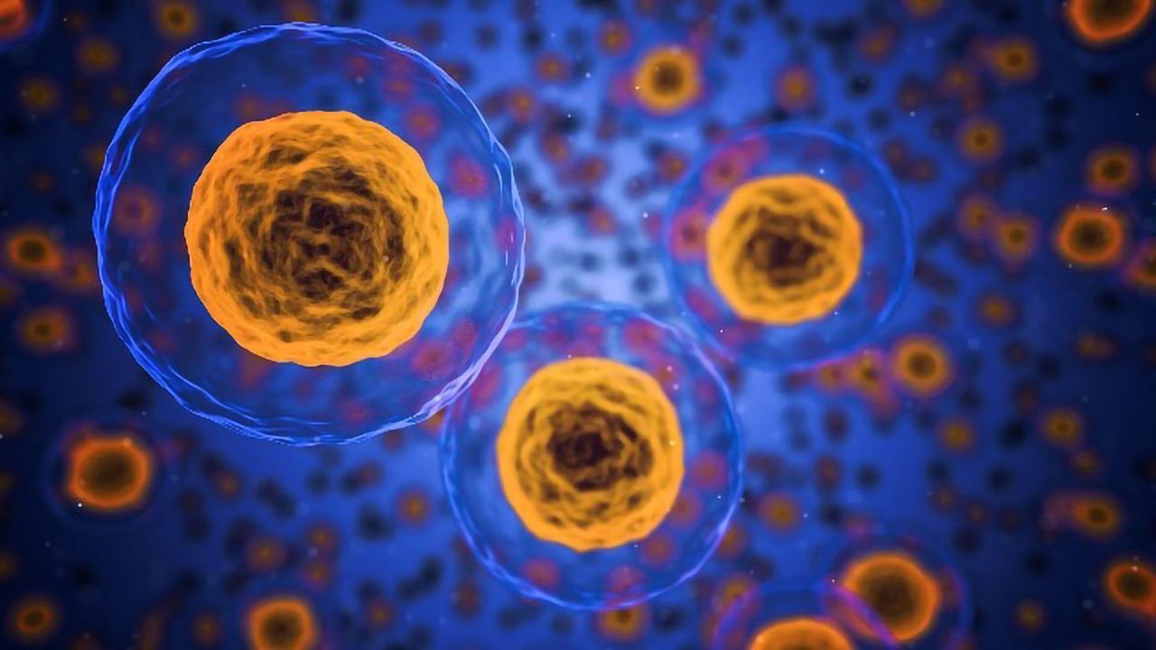 Why Are Only Some Cells "Competent" To Form Cancer?
