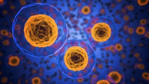 Why Are Only Some Cells "Competent" To Form Cancer?