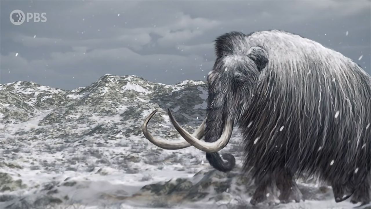 The Island of the Last Surviving Mammoths