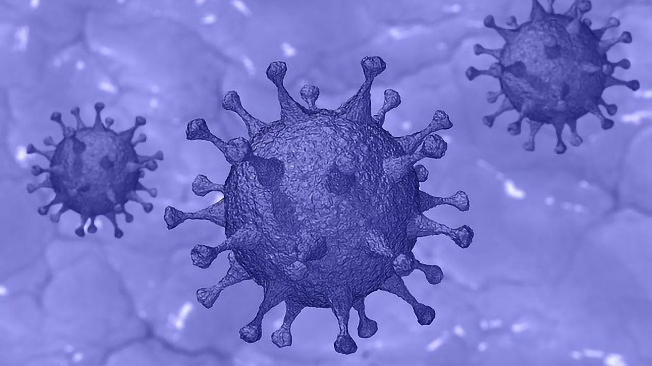 Immune Cell Metabolic Changes May Predict COVID-19 Patient Survival