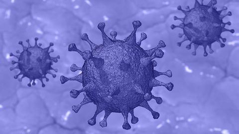 Immune Cell Metabolic Changes May Predict COVID-19 Patient Survival