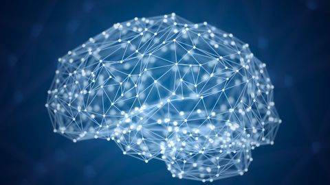 Image Algorithm Predicts Alzheimer's Onset With 99% Accuracy