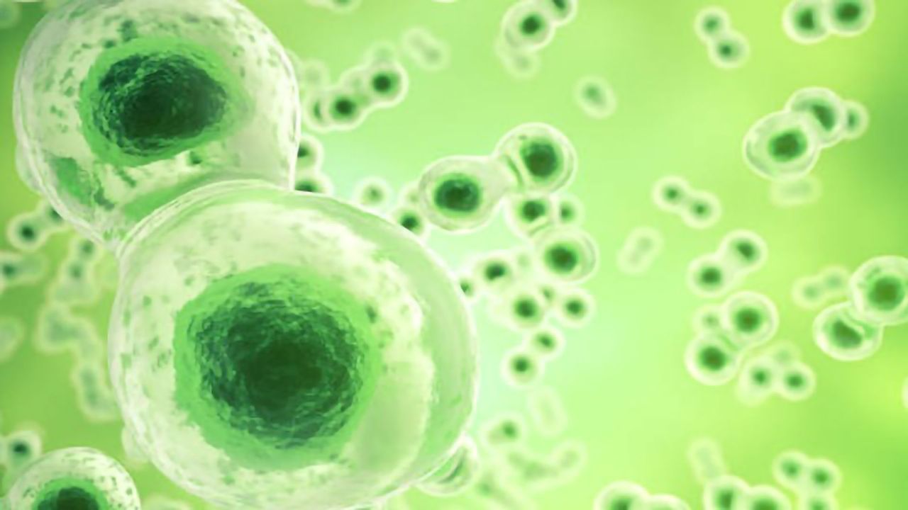 Future-Proof Your Host Cell Protein Strategy