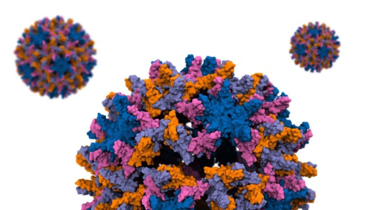 Hepatitis B Capsid Disassembly Simulated at Unprecedented Atomic Level