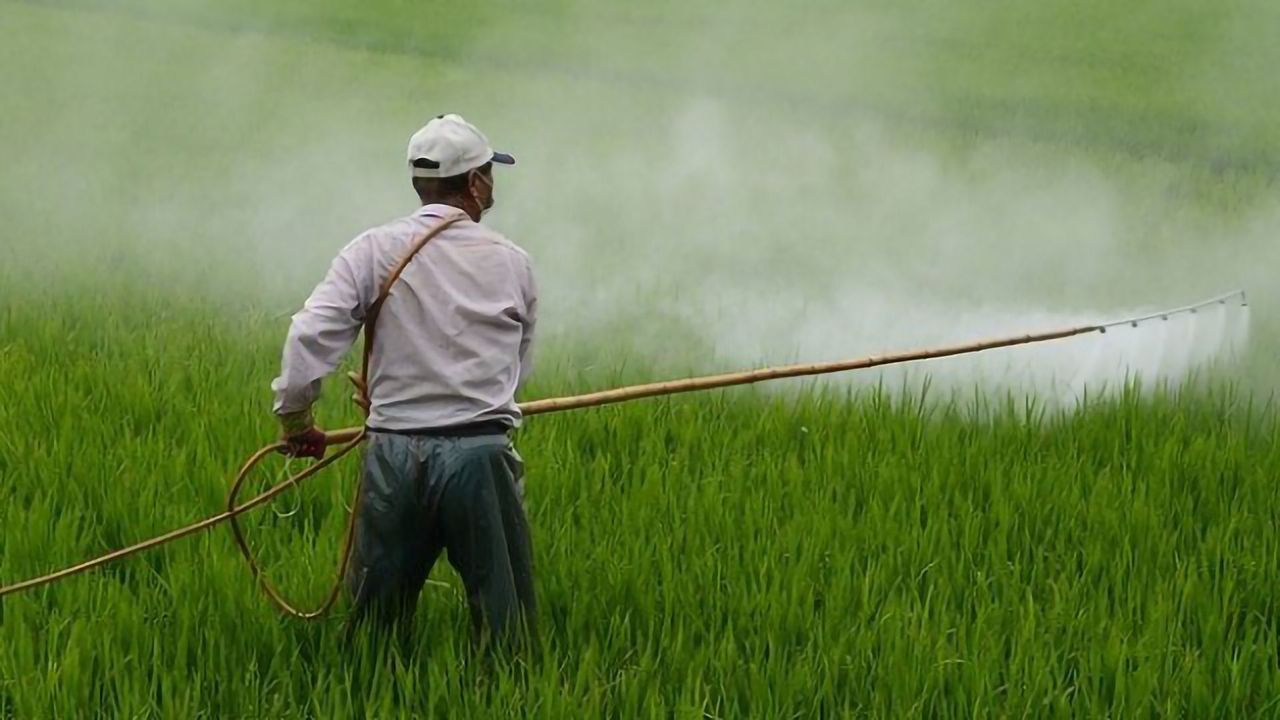 A Badge That Measures Exposures to Dangerous Chemicals