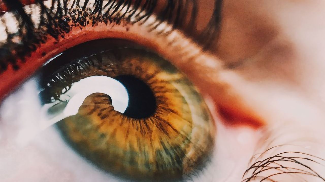Does Our Mind's Eye See in 2D or 3D?
