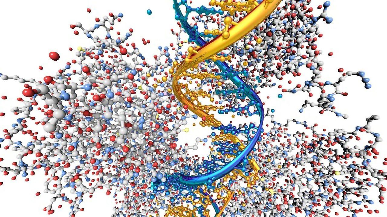Exploring the Genetics of Sex-Biased Diseases, Including Lupus