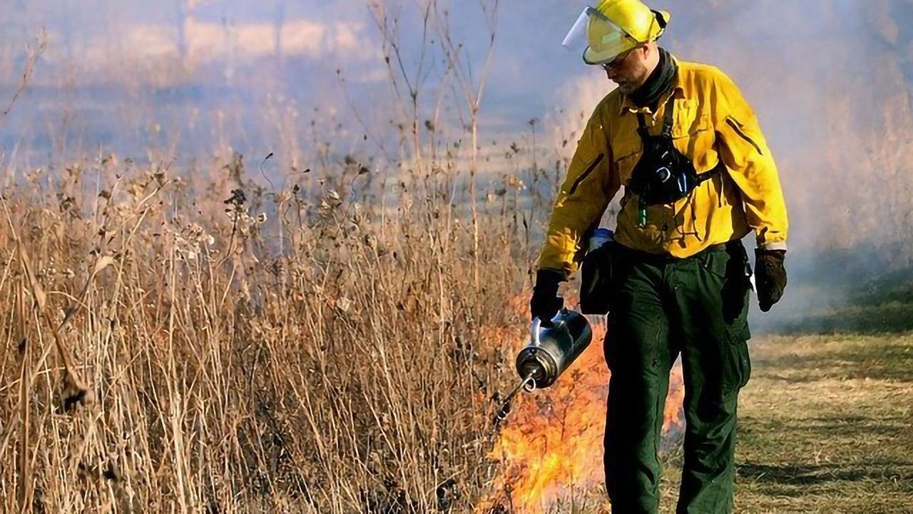 Pollutant Exposure Risk Varies With Role in Fighting Wildfires