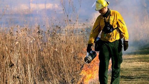 Pollutant Exposure Risk Varies With Role in Fighting Wildfires