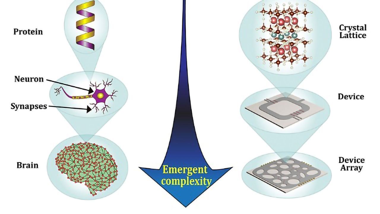 Physicists Simulate Artificial Brain Networks with New Quantum Materials