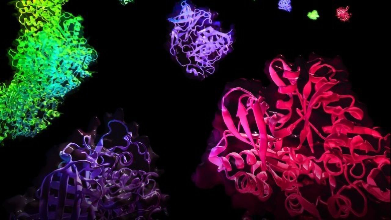 Teach Me in 10 – What Can Proteomics Teach Us About Disease? With Dr. Clare Paterson