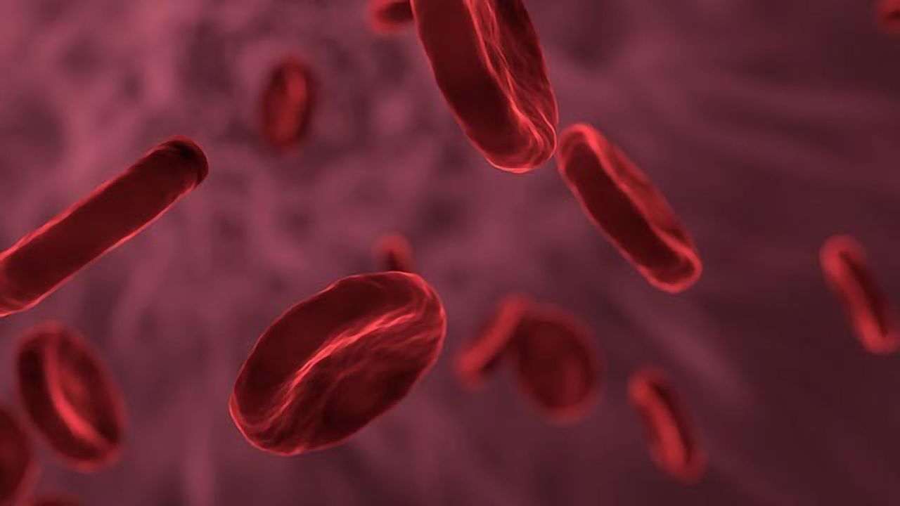 Antioxidant Drug Reduces Build-Up of Fatty Deposits in the Arteries