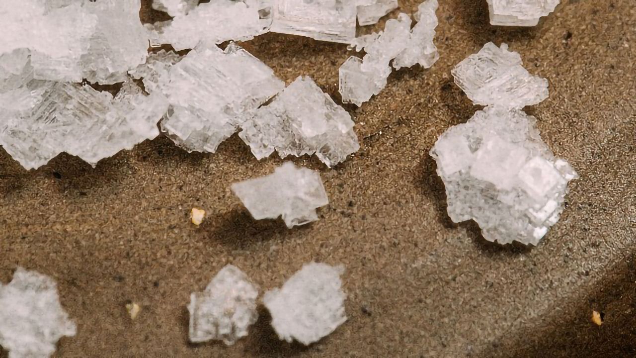 High Salt Diet Helps the Microbiome To Suppress Tumors, Mouse Study Reveals
