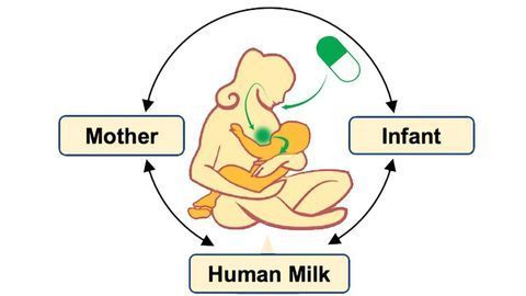 Exploring the Effects of Medications on Breast Milk and Infant Health
