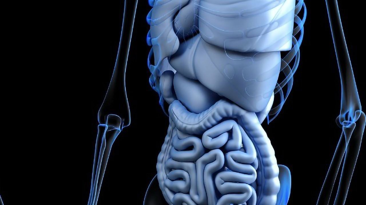 Gut Cell Atlas Will Transform Research Into Intestinal Diseases