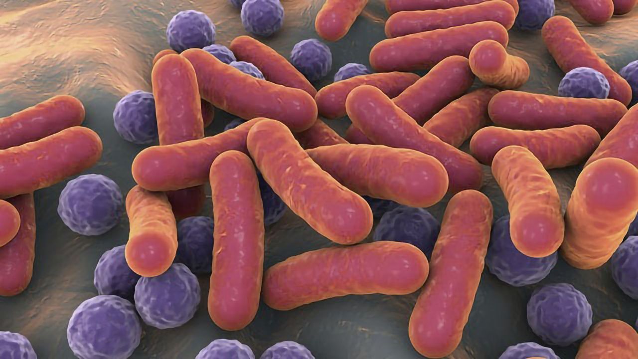 Gut Bacteria Can Boost Response to Cancer Immunotherapy
