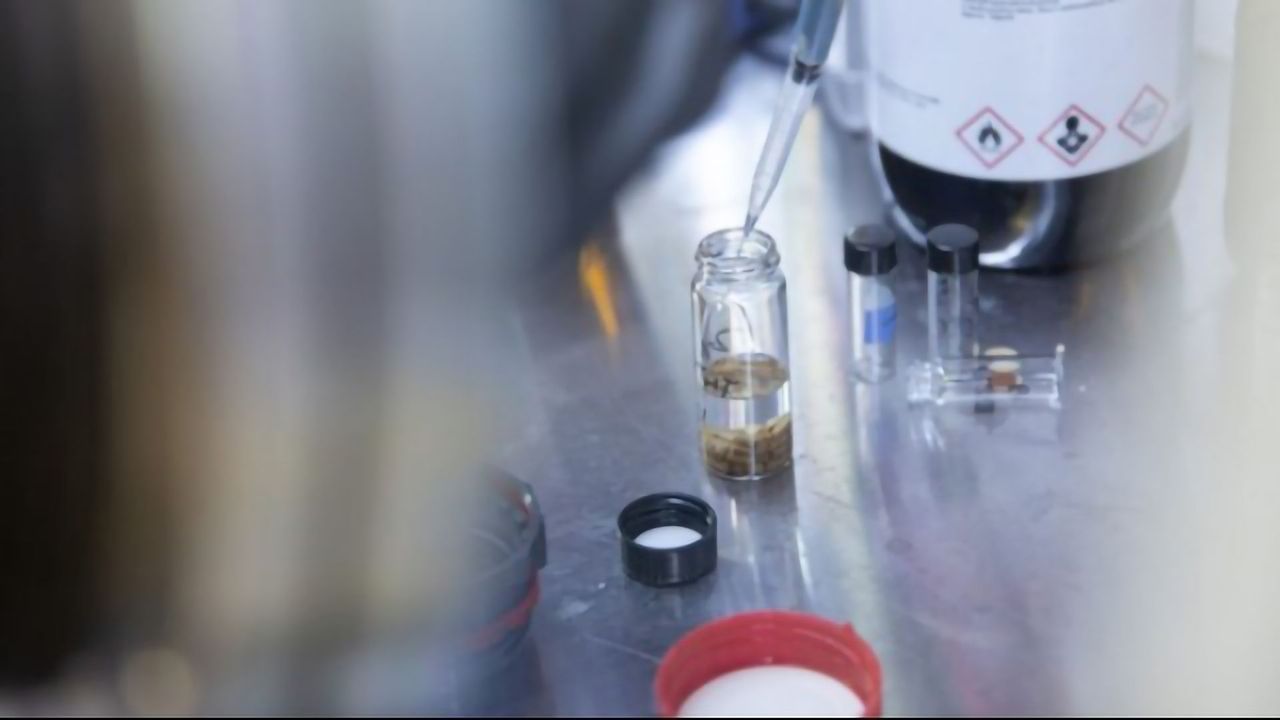 Food Waste Could Be Converted Into Rechargeable Batteries