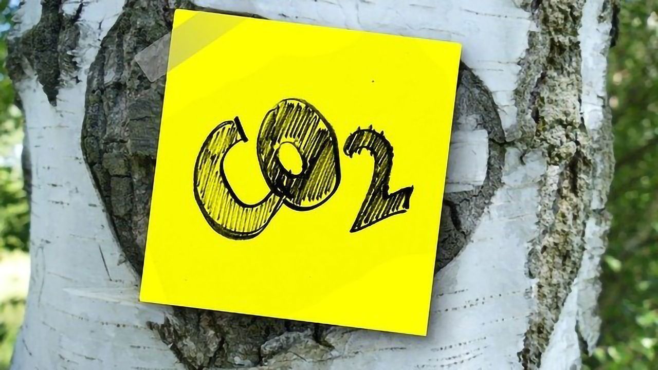 Converting CO2 Into Useful Chemicals With Engineered E. Coli