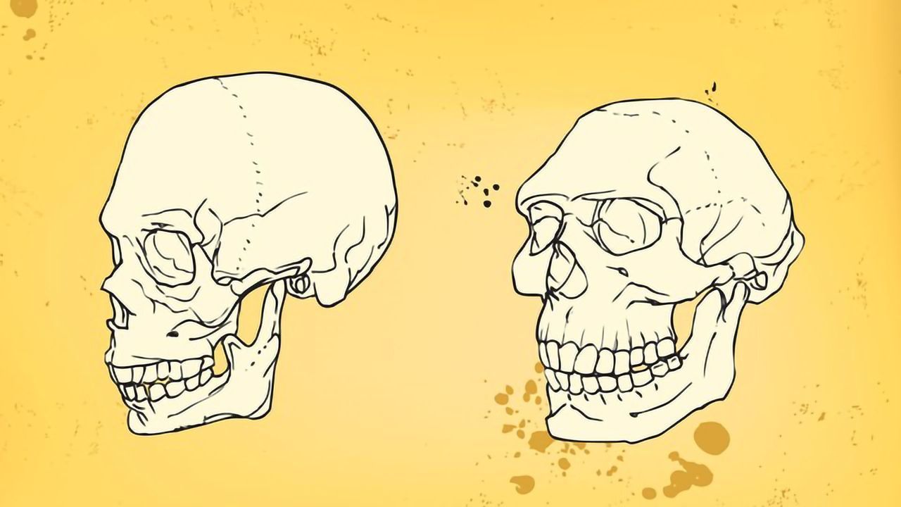 How Neanderthal Are You? Tracing Our Genetic Ancestry
