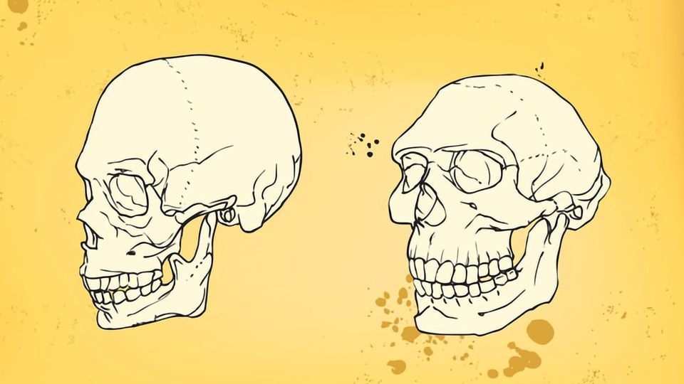 How Neanderthal Are You? Tracing Our Genetic Ancestry content piece image