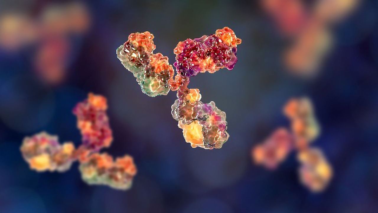 A New Antibody Therapy for Muscular Dystrophy