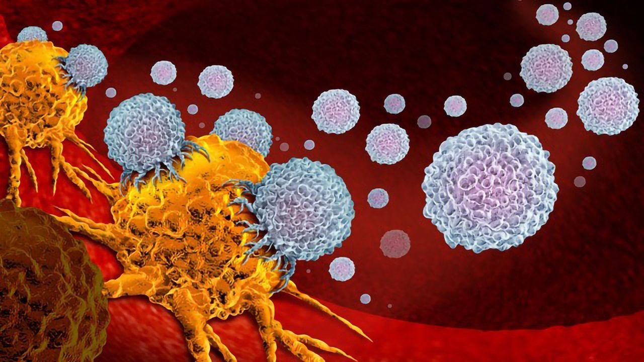 Molecular Code Designed To Boost Immunotherapy Response
