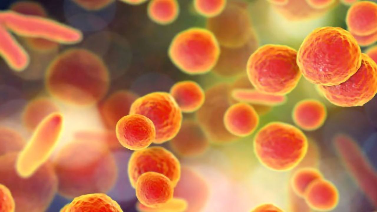 Rapid Mycoplasma Testing Method for Lot-Release of Biotherapeutics