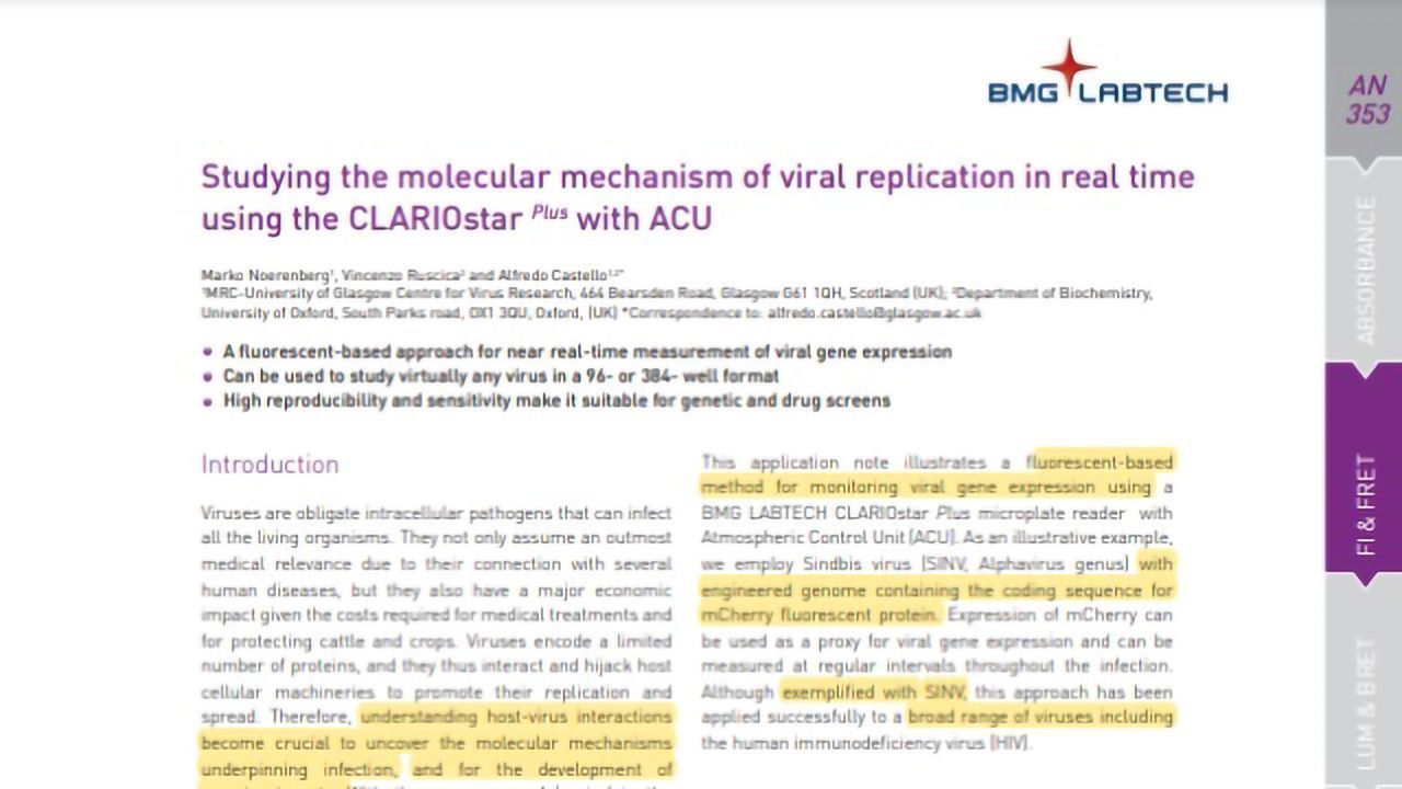 Studying the Molecular Mechanism of Viral Replication in Real Time
