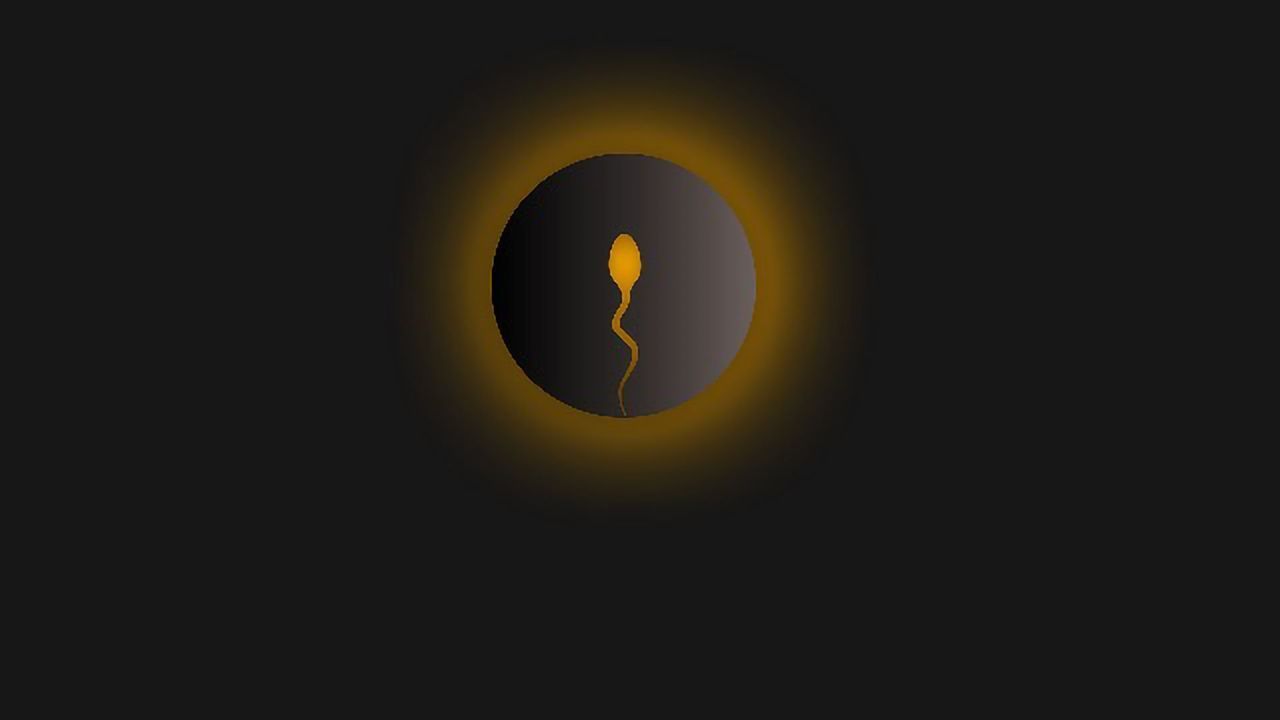 Molecular and Cellular Changes in the Testicular Tissue of Infertile Men Revealed