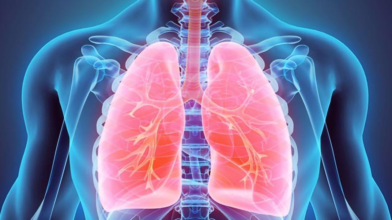 Plant Virus Could Be Exploited To Save the Lungs From Metastatic Cancer
