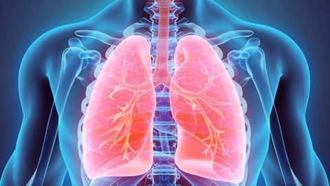 Plant Virus Could Be Exploited To Save the Lungs From Metastatic Cancer