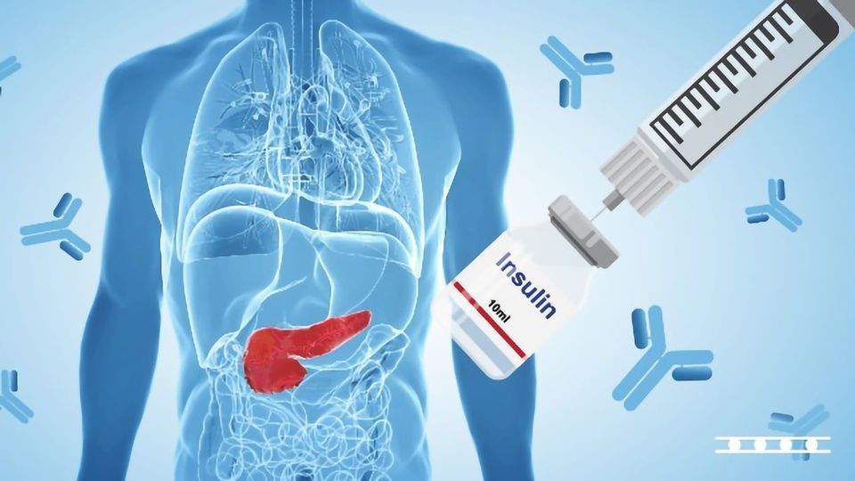 A diagram of the human body with the pancreas in red. Antibodies fill the background, and a vial of insulin and a syringe are in the foreground.