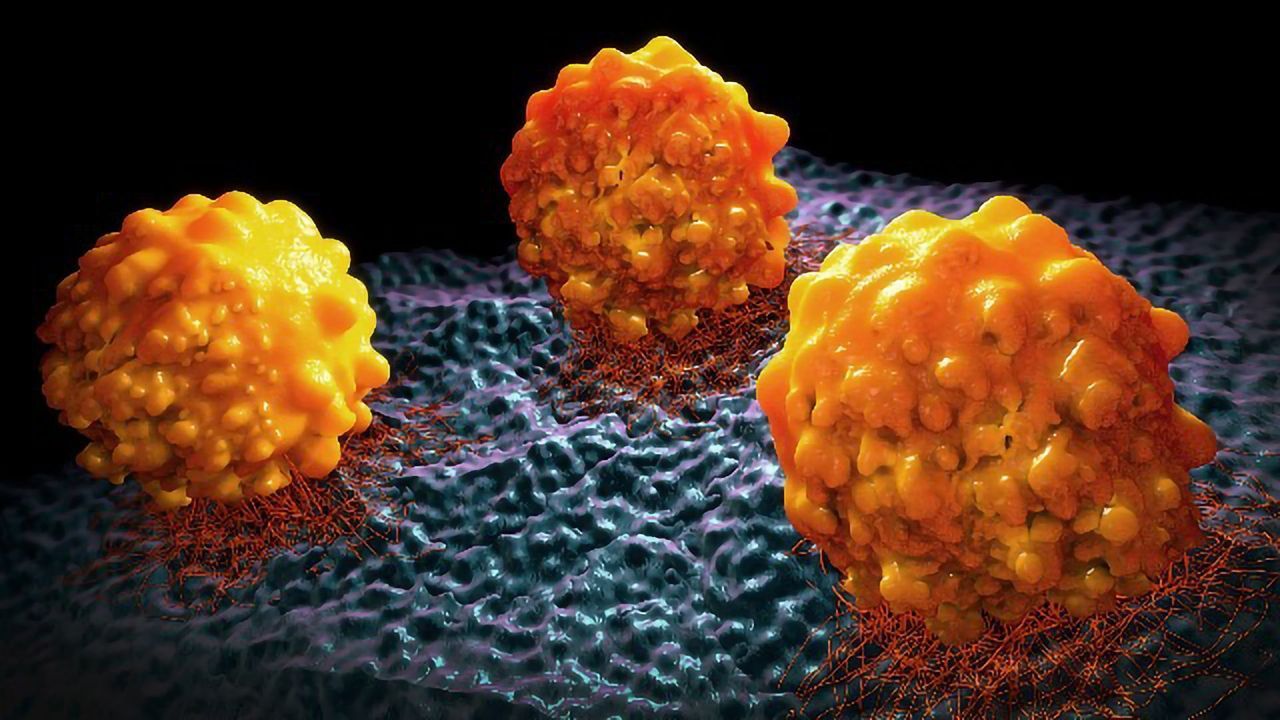 Memories of Cancer: What the Extracellular Matrix Can Tell Us About Cancer and How To Combat It