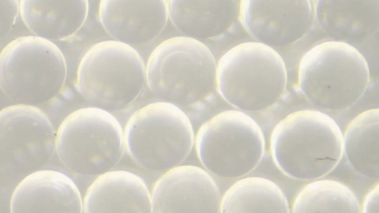 Treating Infertility With Drug-Loaded Particles