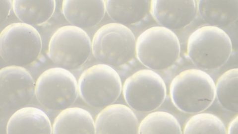 Treating Infertility With Drug-Loaded Particles