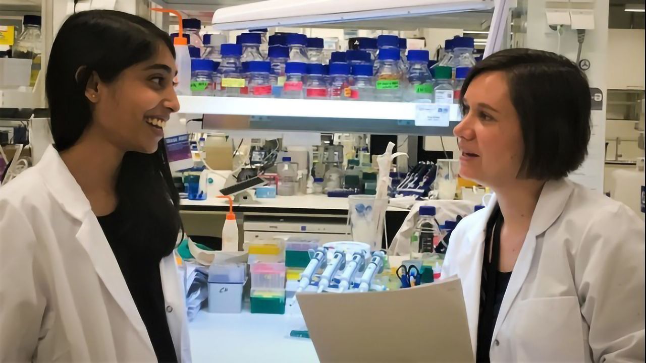 Why Does Protein Production Slow in This Peripheral Nerve Disease?