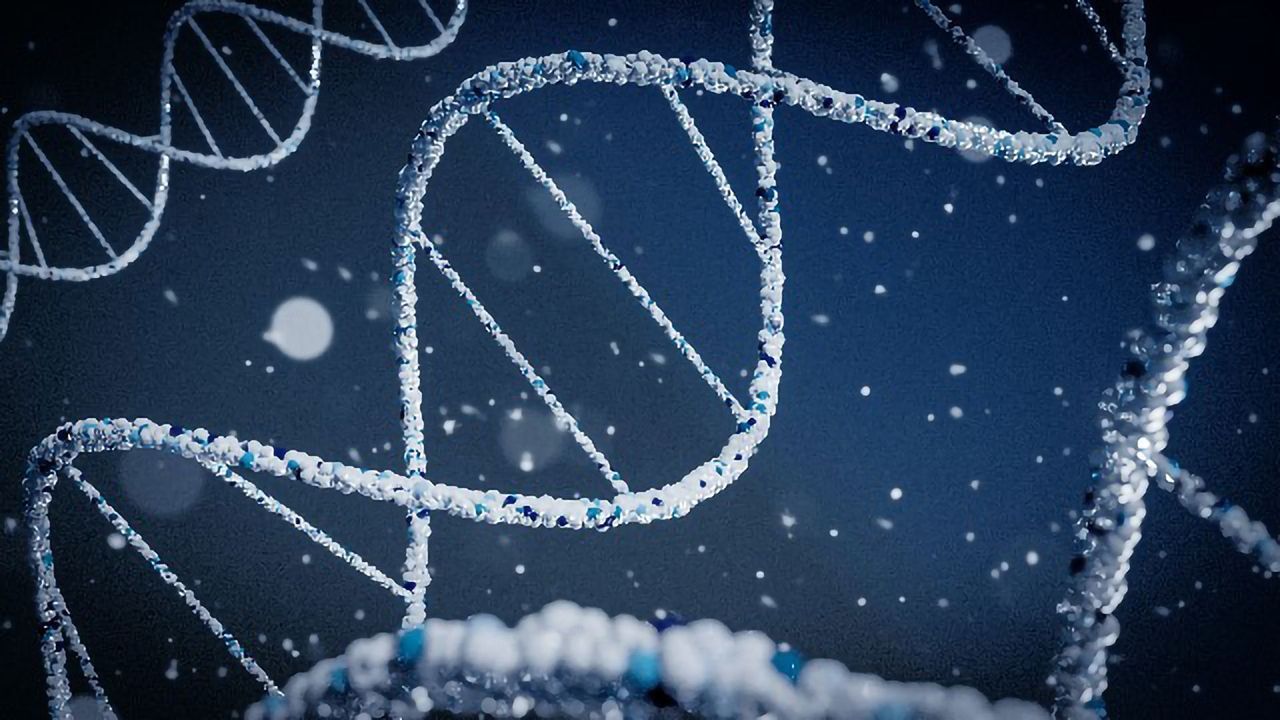 New Tool Could Provide Early Warning of Rare and Unknown Viruses