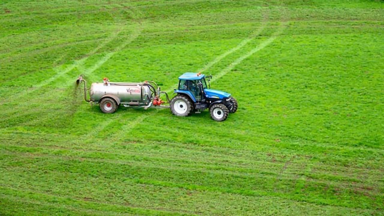Synthesizing Plant Hormones With Microbes Could Improve Crop Health