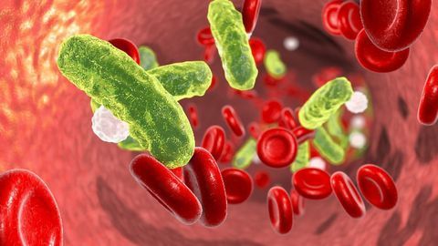European Study Highlights the Utility of Beckman Coulter’s MDW Biomarker for the Earlier Detection of Sepsis in A&E